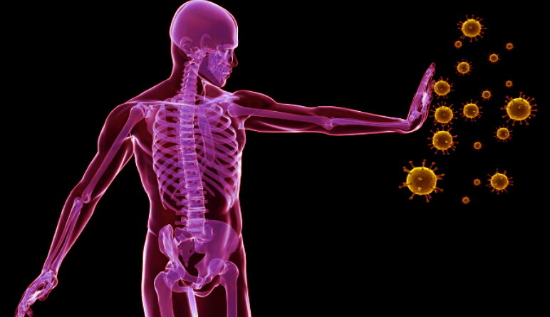 système immunitaire