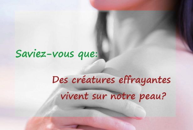 les acariens
