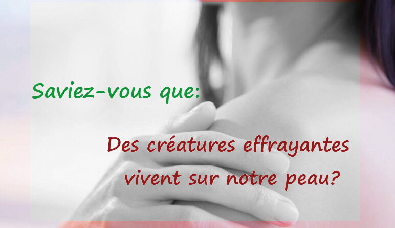 les acariens