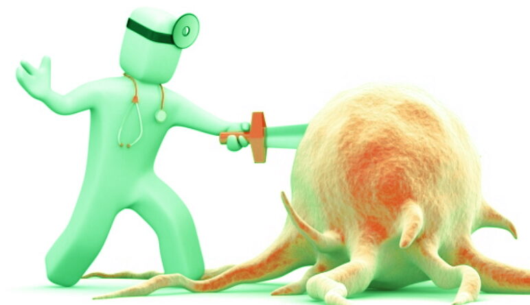 la lymphe, les lymphocytes
