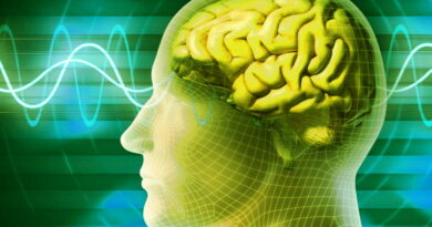 le cerveau, notre cerveau