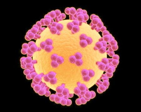 les virus et les bactéries, virus dangereux,  bactéries dangereuses