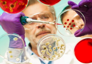 Les virus pourraient être utilisés pour détruire les bactéries