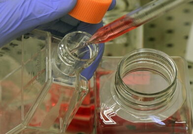 Le bisphénol S est-il plus dangereux que le bisphénol A?