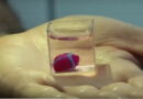 Le premier cœur 3D au monde a commencé de battre!