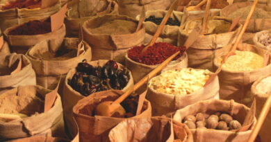 Des antibiotiques naturels efficaces contre les infections