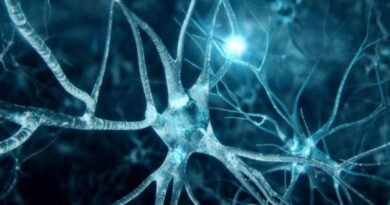 neurones artificiels, les neurones, comment rétablir les neurones