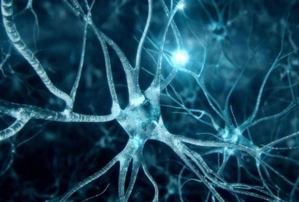 neurones artificiels, les neurones, comment rétablir les neurones