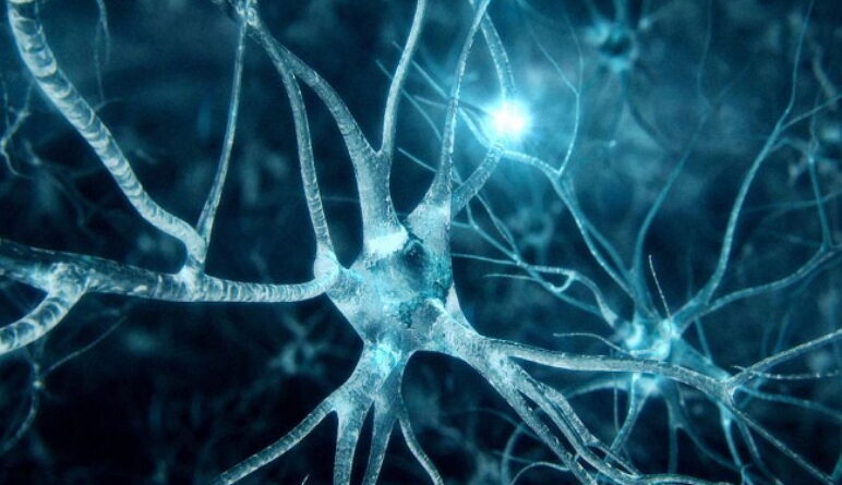 neurones artificiels, les neurones, comment rétablir les neurones