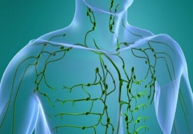 système lymphatique, la lymphe
