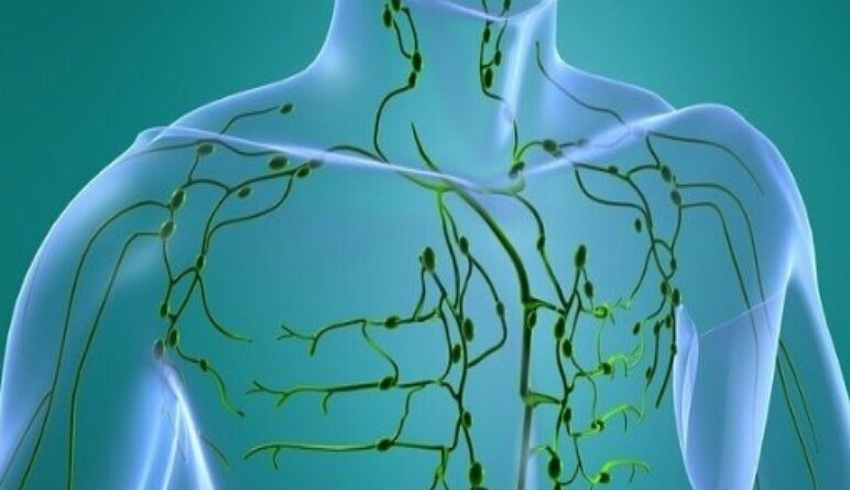 système lymphatique, la lymphe