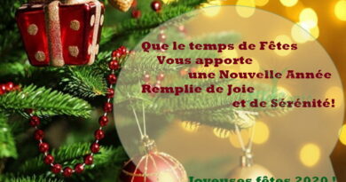 Joyeux Noel, Temps de fêtes, Bonne Année, Nouvelle Année