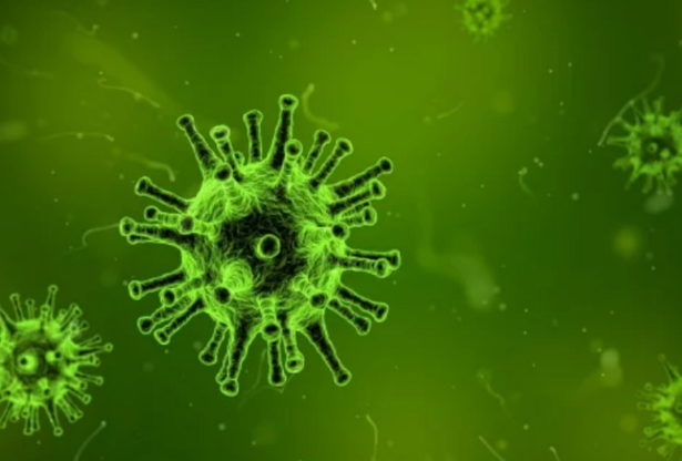 symptômes de coronavirus, coronavirus