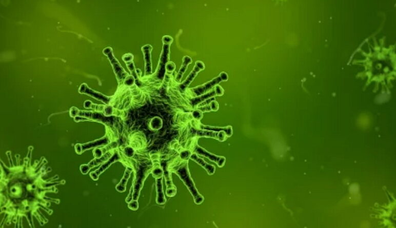 symptômes de coronavirus, coronavirus