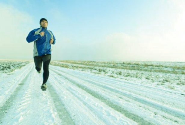 le rhume, la grippe, le froid, les virus, les bactéries, les microbes