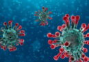le coronavirus