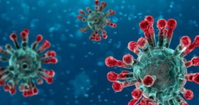 le coronavirus