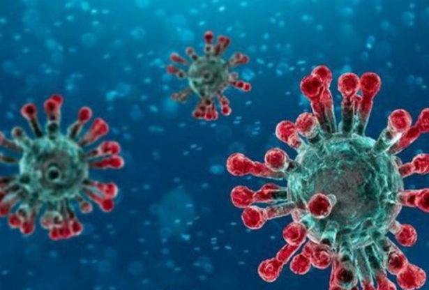 le coronavirus