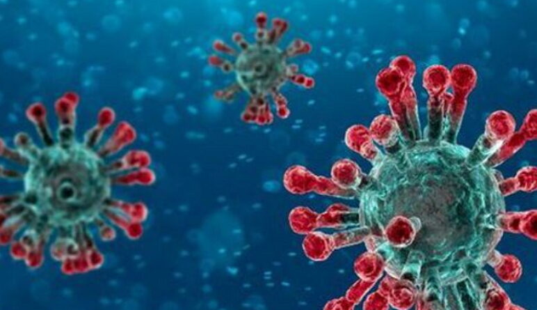 le coronavirus