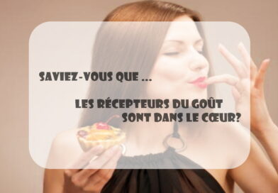 les récepteurs du goût