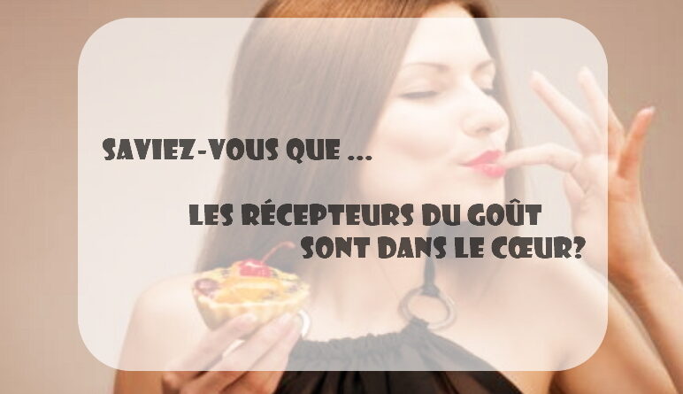 les récepteurs du goût
