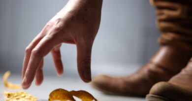 règle de 5 secondes, échapper un aliment, les bactéries
