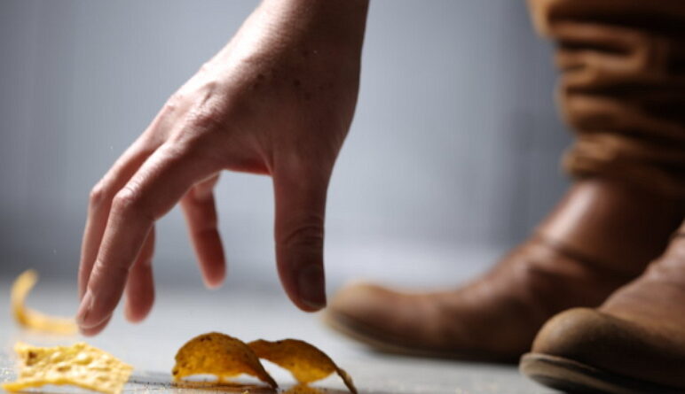 règle de 5 secondes, échapper un aliment, les bactéries