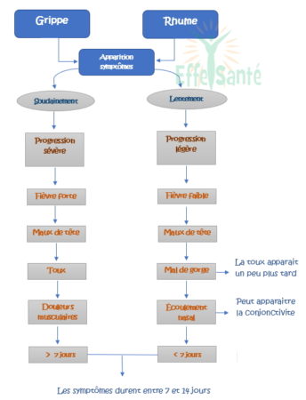 le rhume et la grippe, comment traiter la grippe, symptômes de la grippe