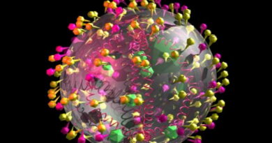 covid-19, combattre le coronavirus, comment s'en sortir de Covid 19