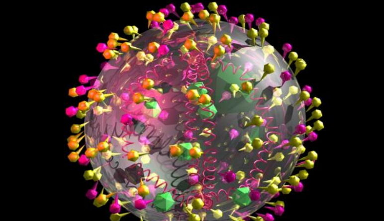 covid-19, combattre le coronavirus, comment s'en sortir de Covid 19
