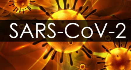 coronavirus, SRAS, Grippe, virus, maladies infectieuses, covid-19, covid, choléra, Ébola