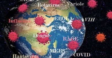 coronavirus, SRAS, Grippe, virus, maladies infectieuses, covid-19, covid, choléra, Ébola