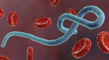 coronavirus, SRAS, Grippe, virus, maladies infectieuses, covid-19, covid, choléra, Ébola