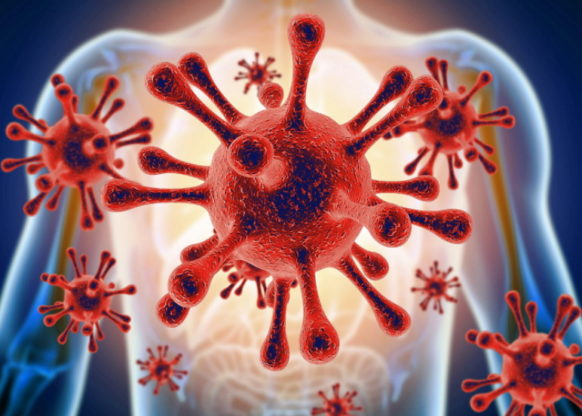 coronavirus