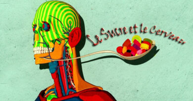 sucre, cerveau, consommation de sucre