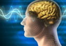 , le coronavirus affecte le cerveau,coronavirus, SRAS, Grippe, virus, maladies infectieuses, covid-19, covid, choléra, Ébola