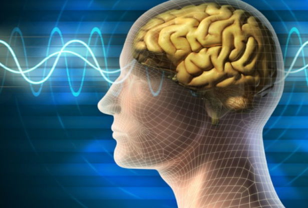 , le coronavirus affecte le cerveau,coronavirus, SRAS, Grippe, virus, maladies infectieuses, covid-19, covid, choléra, Ébola