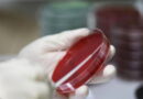 Une mutation du coronavirus en cours. Comment se manifeste cette forme?