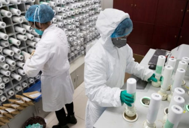 pourquoi la Chine a caché le nombre de cas de coronavirus, la Chine a plus de cas de coronavirus