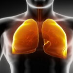 maladies des poumons, pneumonie, les signes de la pneumonie