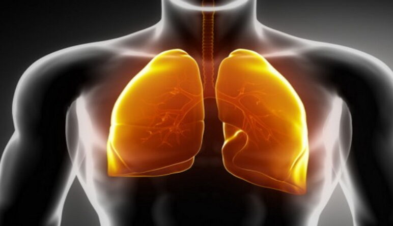 maladies des poumons, pneumonie, les signes de la pneumonie