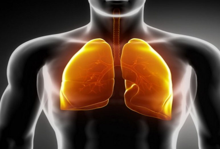 maladies des poumons, pneumonie, les signes de la pneumonie