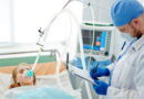 ventilation artificielle, ventilateur mécanique, intubation,coronavirus, SRAS, Grippe, virus, maladies infectieuses, covid-19, covid, choléra, Ébola