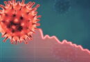 coronavirus, SRAS, Grippe, virus, maladies infectieuses, covid-19, covid, choléra, Ébola