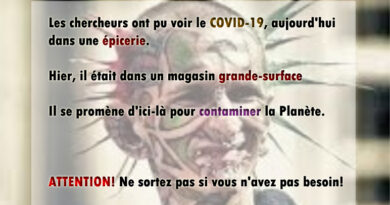 pandémie, épidémie, coronavirus, SRAS, Grippe, virus, maladies infectieuses, covid-19, covid, choléra, Ébola