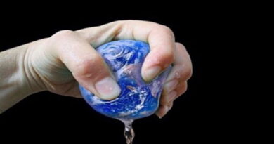 la natalité, croissance démographique