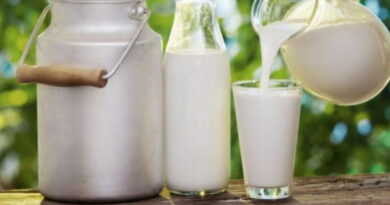 bon ou pas bon le lait, le lait et les produits laitières, le lait et le cancer