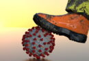 coronavirus, SRAS, Grippe, virus, maladies infectieuses, covid-19, covid, choléra, Ébola