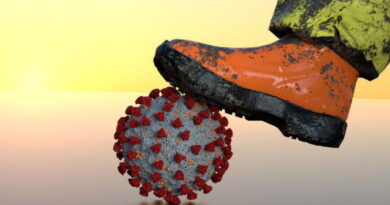 coronavirus, SRAS, Grippe, virus, maladies infectieuses, covid-19, covid, choléra, Ébola