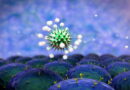 coronavirus, SRAS, Grippe, virus, maladies infectieuses, covid-19, covid, choléra, Ébola